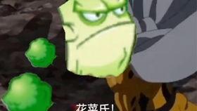 植物卡包最新爆料,奇花异草，生态宝库大揭秘