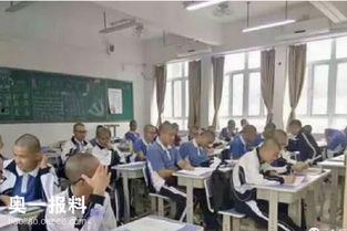 江苏职校爆料案件最新,揭开校园安全与管理的隐秘面纱